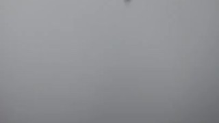 Nut on Toilet 