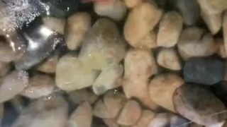 Pissing on my feet and socks and close up pee play