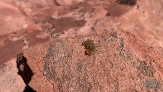 Hiking and Hot Sex near the Grand Canyon!