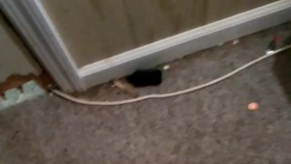 My babygirl gets off watching me cum