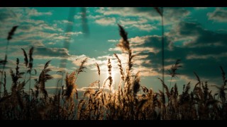 #nature #hd