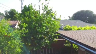 我住家的环境