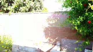 我住家的环境
