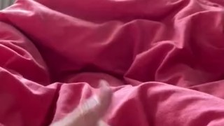 Wanking my hard cock for 7 minuets straight