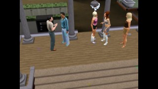 Swing meeting of two families on the doorstep of the house | video game sex