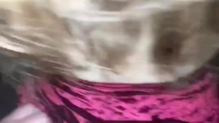 Fucked by a stranger in abandoned shack coming home from club