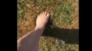 Wet feet playing in grass