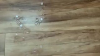 12 spurt huge cumshot