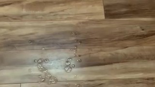 12 spurt huge cumshot