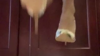 Foot fetish ebony tries new heels