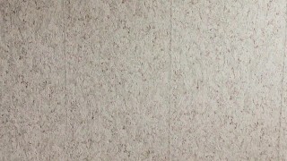 девушка показала попу в колготках