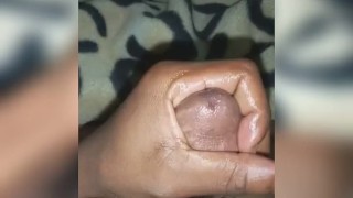 Quarantined And Bored 