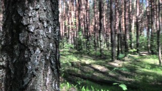 ДРОЧУ В ЛЕСУ ПОКА НИКТО НЕ ВИДИТ