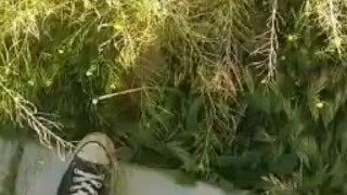 Fat Daddy Dick Stopped Outside To Take a Piss On The Way To The Gym