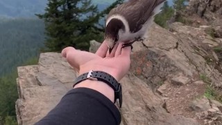 nature bj with nerdy faery