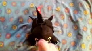 Dragon Toothless Plush in Head 2