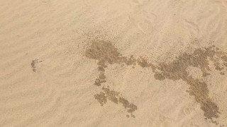 Peeing at a nude Beach