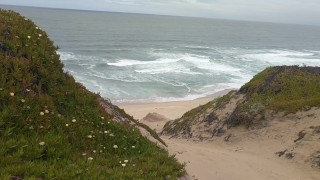 Peeing at a nude Beach