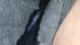 Horny leche nocturna