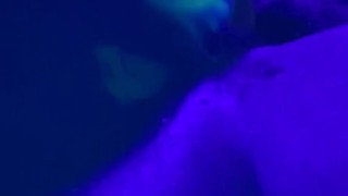 New Large Knot Dildo Stretching my fat pussy UV Play