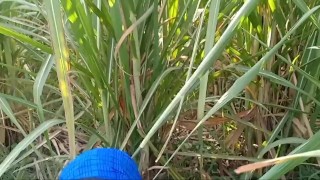 Desi cute village outdoor MMS 