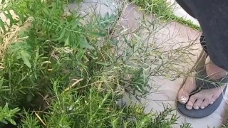 Norwegian Daddy Taking A Long Fat Dick Piss In A Outside Bush In Sandals