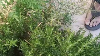 Norwegian Daddy Taking A Long Fat Dick Piss In A Outside Bush In Sandals