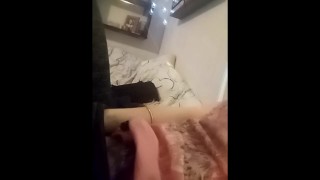 Petting a kitty