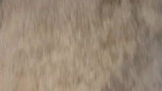 Having some piss fun