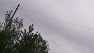 Taking the dick out for a walk & piss.
