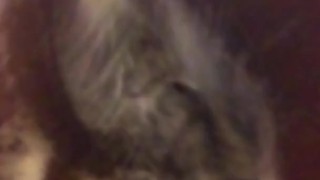Ass Shaking In Shower