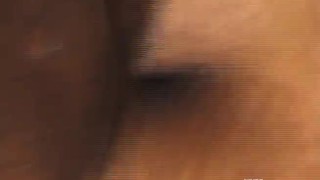 Horny black gay gets his ass fucked in doggy style position on the bed