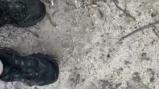 Dirty sneakers stepping on pine cones in the park