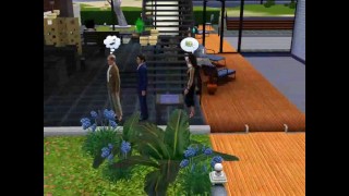 Oligarch called a married couple for joint sex | sims