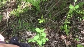 Kantutan sa Park Nahuli sa Akto.. Pinay Bitin na Bitin.. New Viral