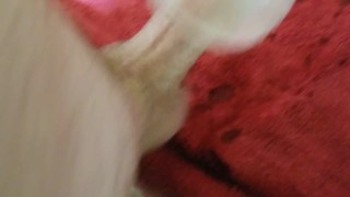 Between Quarantine, and a Curfew, Let's Just Stay in and Fuck