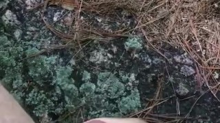 Wack in the Woods