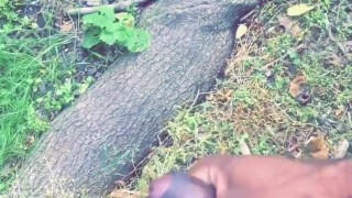 Got Horny while taking a walk in a Bronx park