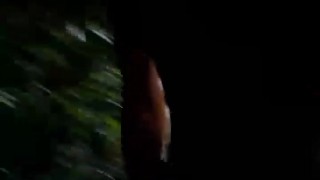 深夜の公園　