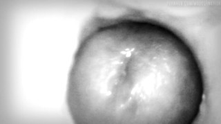  Creampie, but the camera is in the pussy.