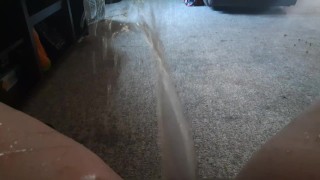 Morning pissing on my living room carpet