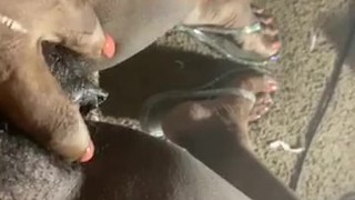 Hairy Pretty Pussy & Pretty Polished Feet try not to cum on my toes please!