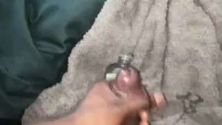 Oiled Up Morning Nut 