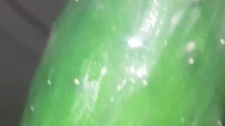 black-girl masturbating- with-cucmber oh fuck