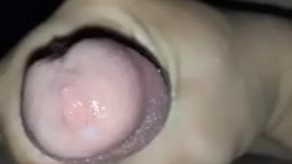 PreCum Rub Out 2: The Finish