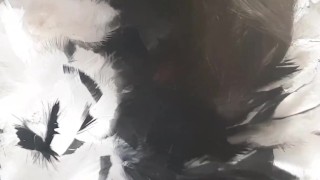 This Little Piggy - I Want You To Fuck My Feet