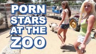 BANGBROS - Sexy Pornstars Invade Famous Zoo & Fuck Zookeeper