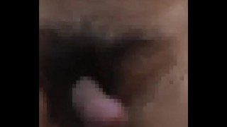 Penis(Mosaic)