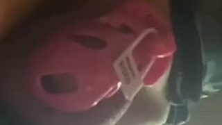 Pups in his New Cage ( The Vice )