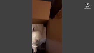 sexploration: toy edition